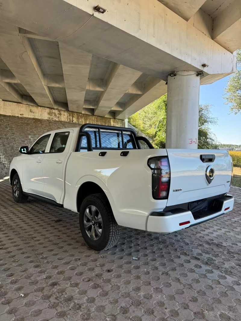 松原24年长城汽车炮 皮卡8