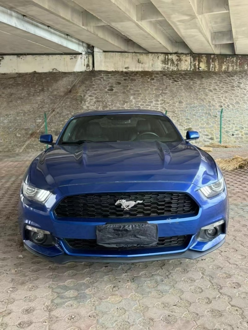 松原17年福特野马1