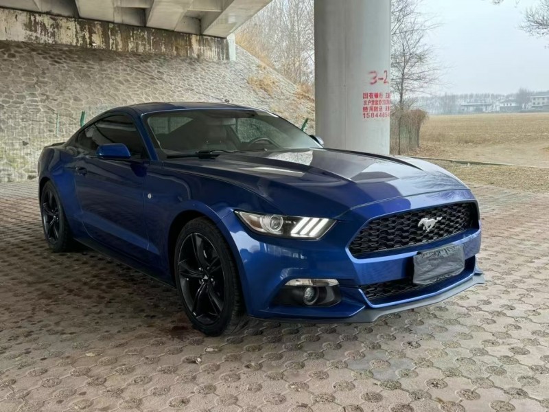 松原17年福特野马2