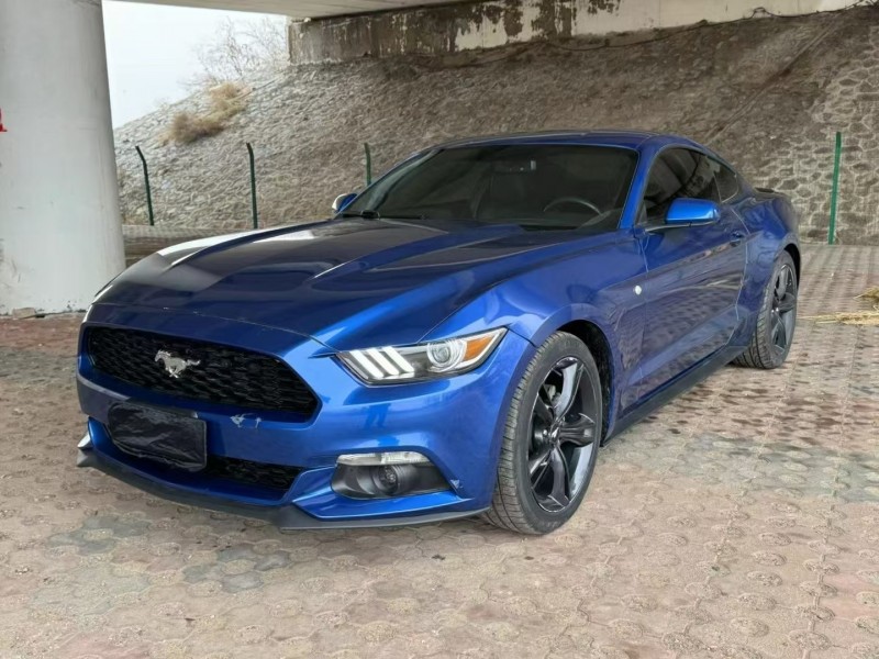 松原17年福特野马3