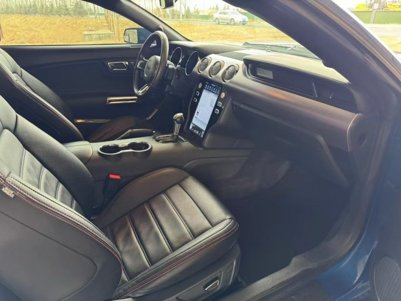 松原17年福特野马4