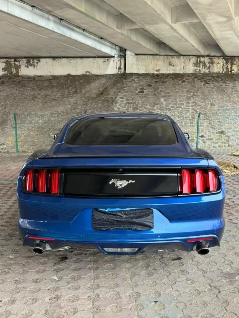 松原17年福特野马9