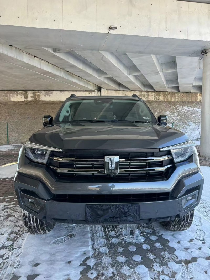 松原25年长城汽车坦克1