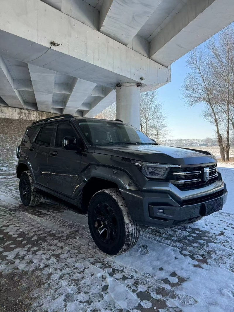 松原25年长城汽车坦克2