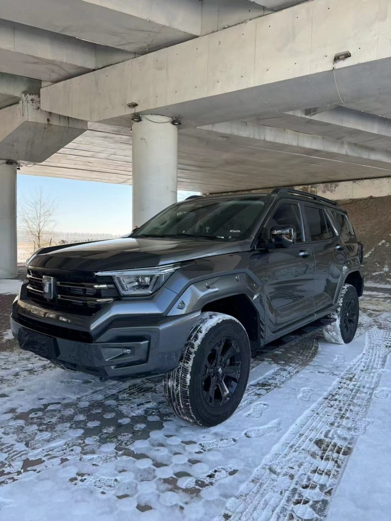 松原25年长城汽车坦克3