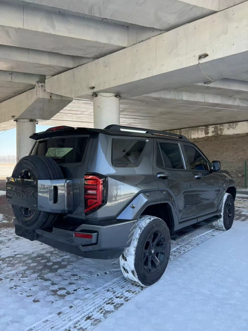 松原25年长城汽车坦克7