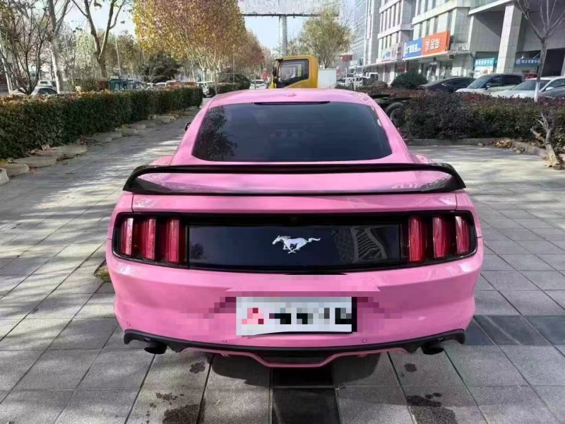 济宁18年福特野马9