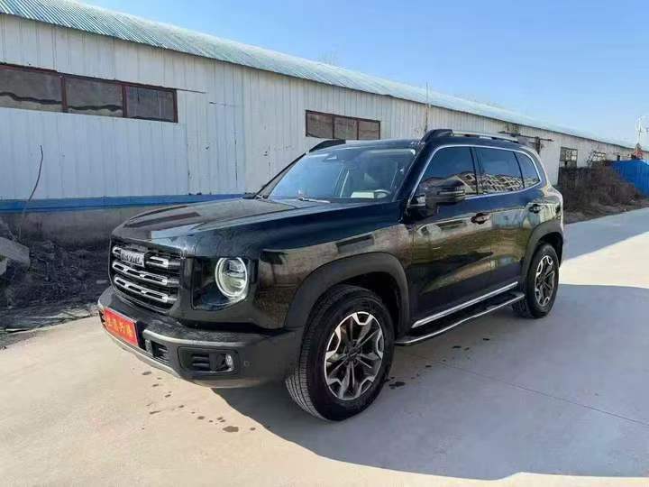 平顶山22年哈弗大狗2