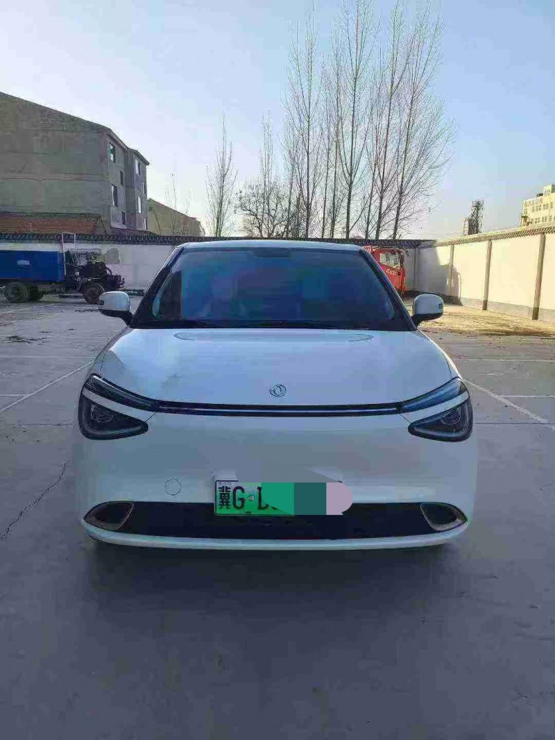 邯郸25年东风纳米1