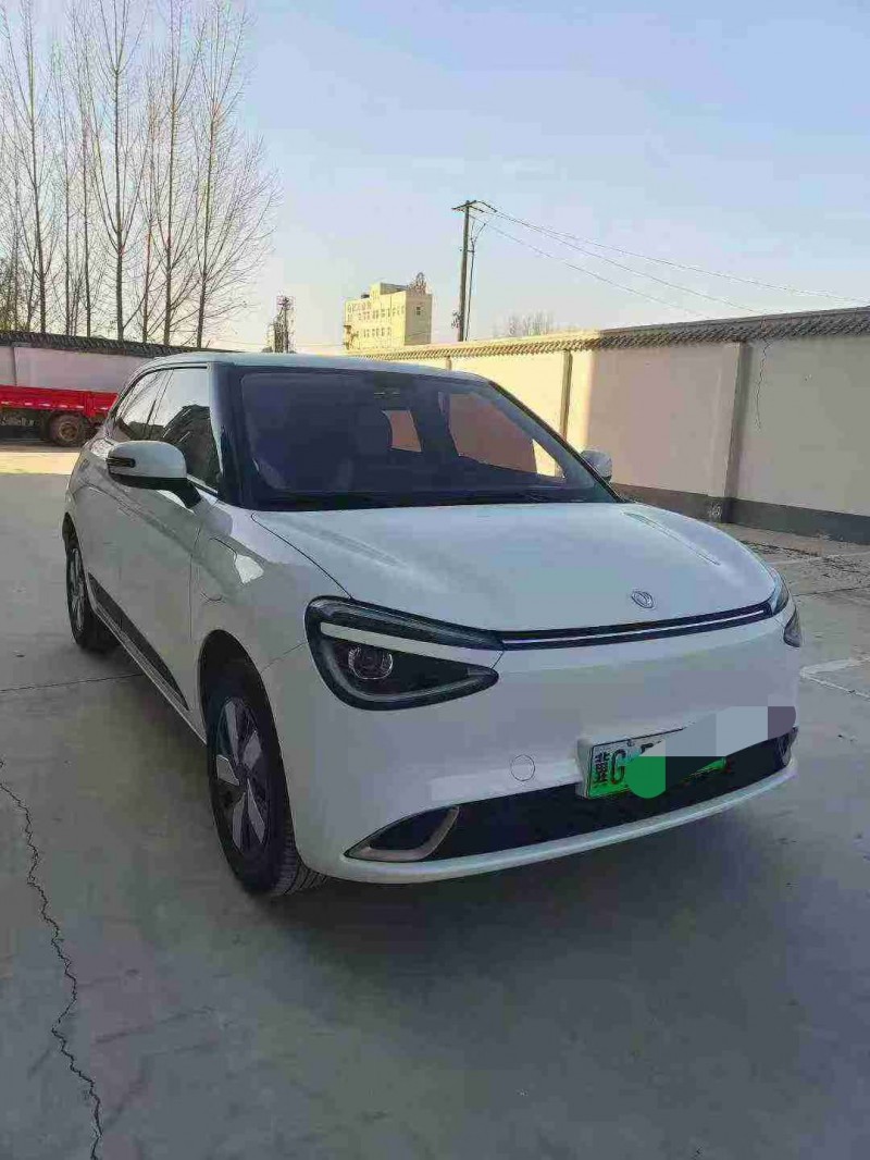 邯郸25年东风纳米6