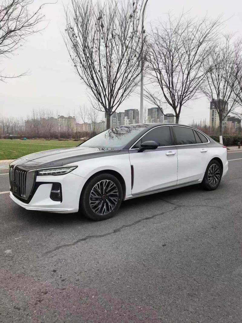 泰安25年红旗H53