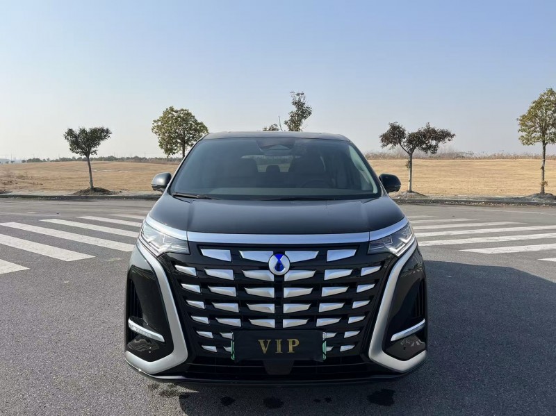 常州24年腾势D91