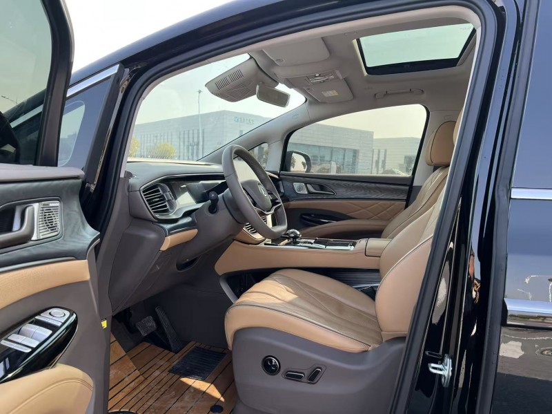 常州24年腾势D95