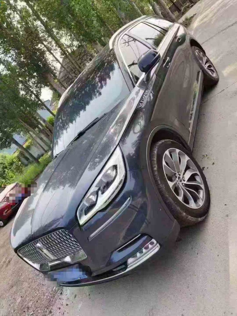 临沂20年林肯飞行家2