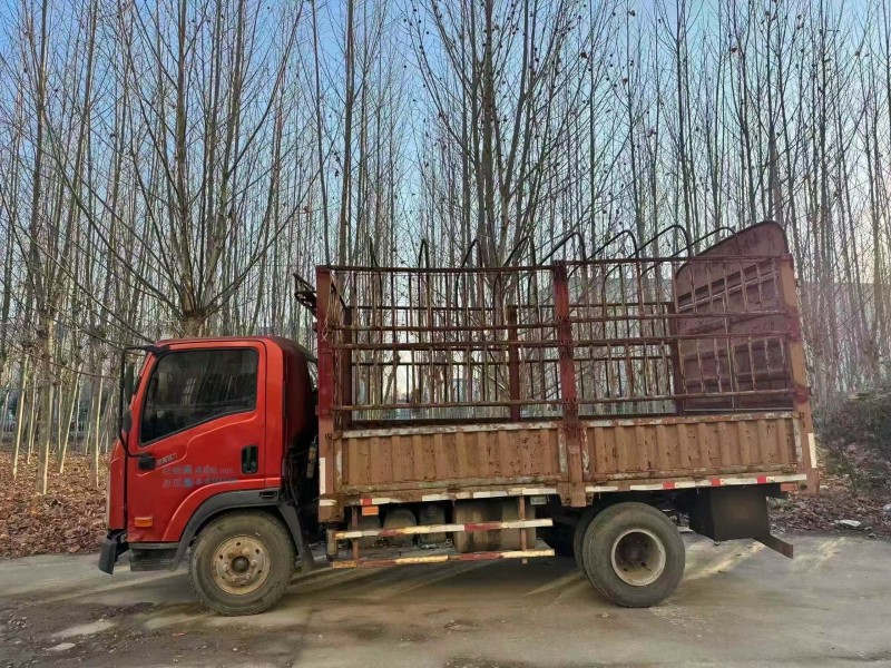 菏泽19年大运新能源远志3