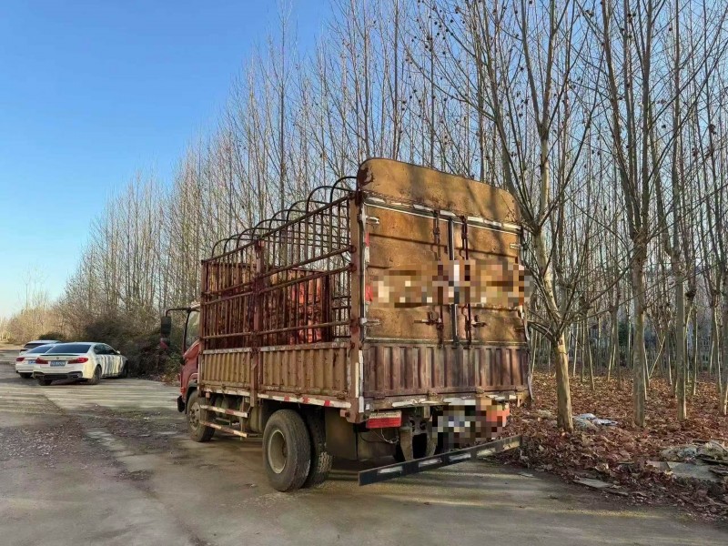 菏泽19年大运新能源远志4