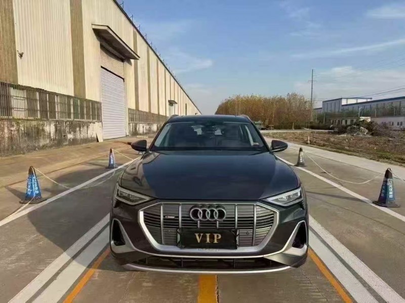 菏泽25年奥迪E-tron纯电1