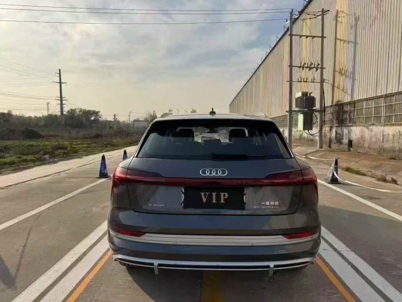 菏泽25年奥迪E-tron纯电9