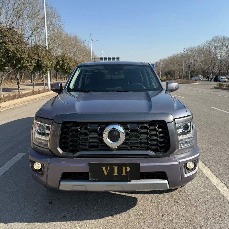 枣庄24年长城汽车炮 皮卡1