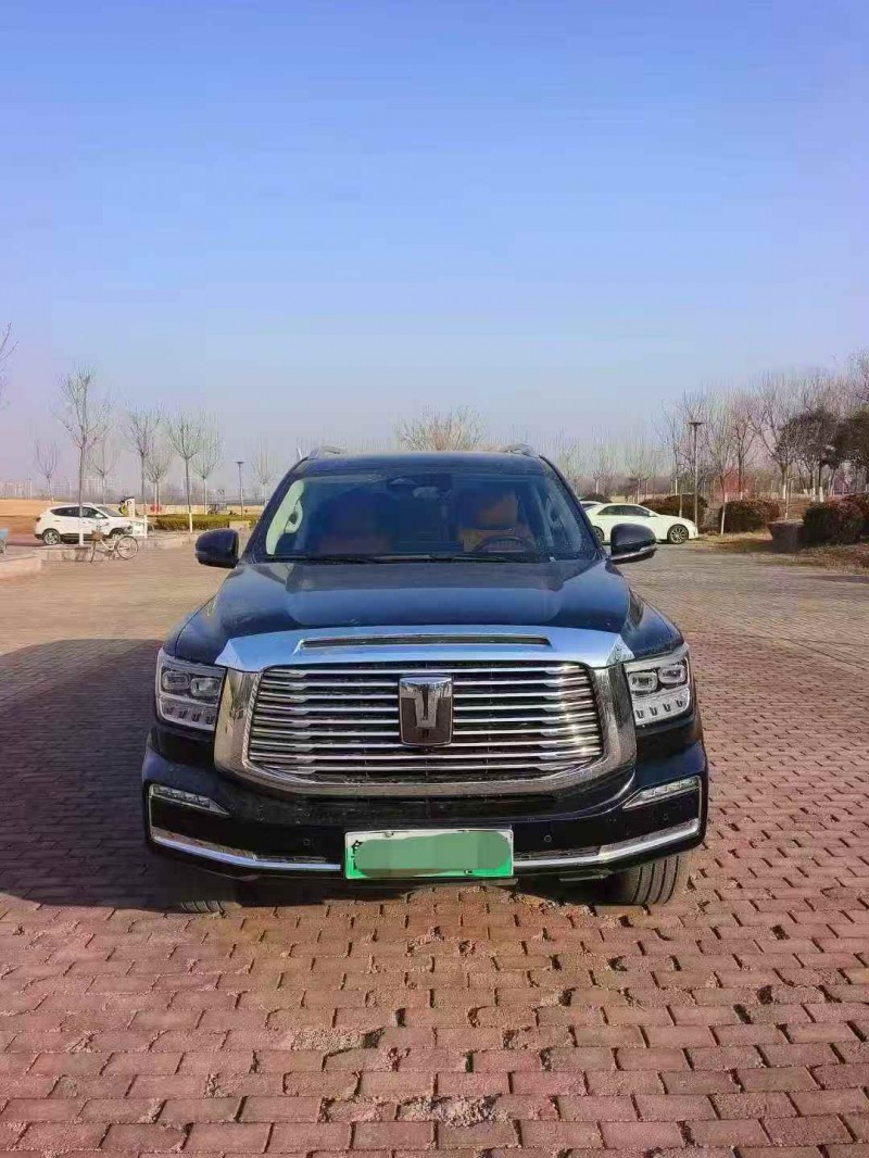 淄博23年长城汽车坦克1