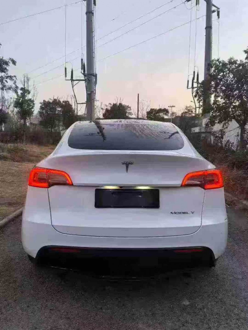孝感22年特斯拉MODEL Y8