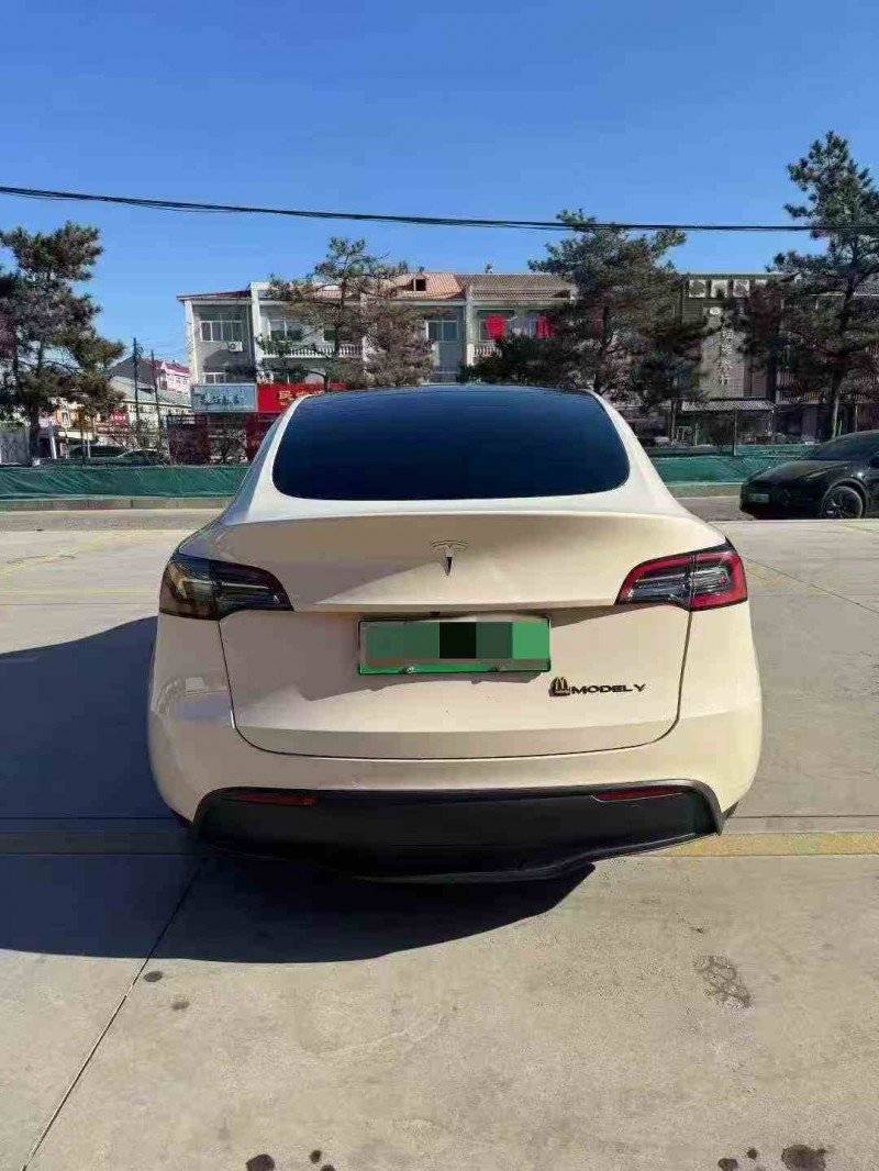 承德21年特斯拉MODEL Y9