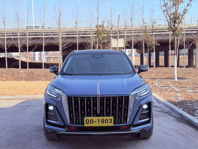 青岛24年红旗HS31