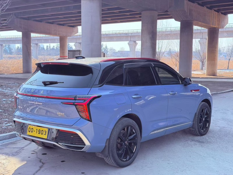 青岛24年红旗HS38