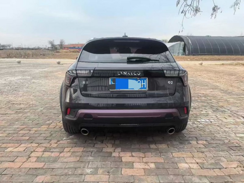 石家庄21年领克029