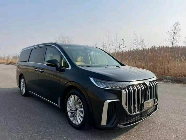 盐城24年岚图汽车梦想家2