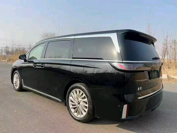 盐城24年岚图汽车梦想家8