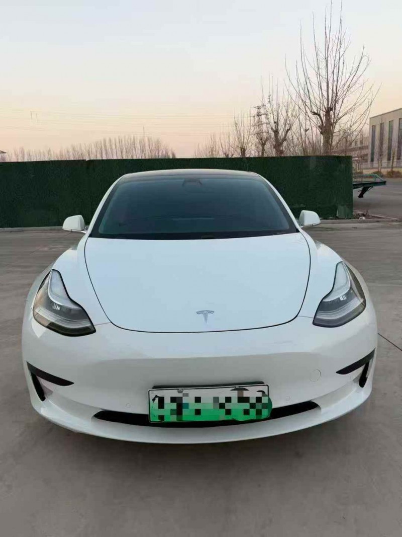 东营20年特斯拉MODEL 31