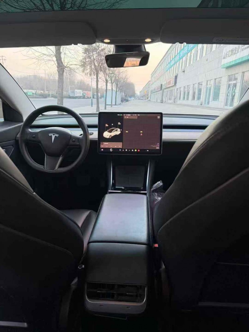东营20年特斯拉MODEL 36