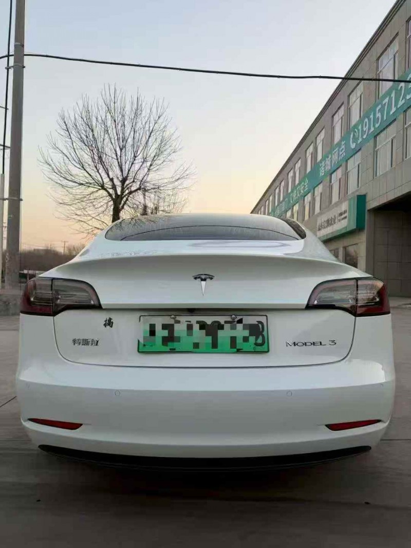 东营20年特斯拉MODEL 39