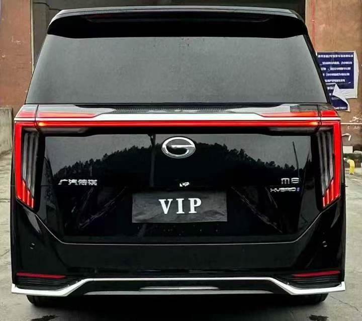 毕节25年传祺M8/GM89