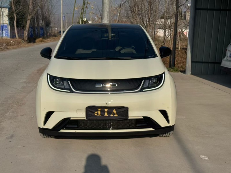 新乡23年比亚迪海豚1