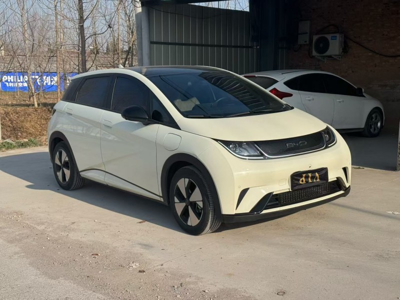 新乡23年比亚迪海豚2