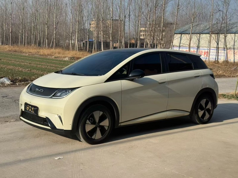 新乡23年比亚迪海豚3