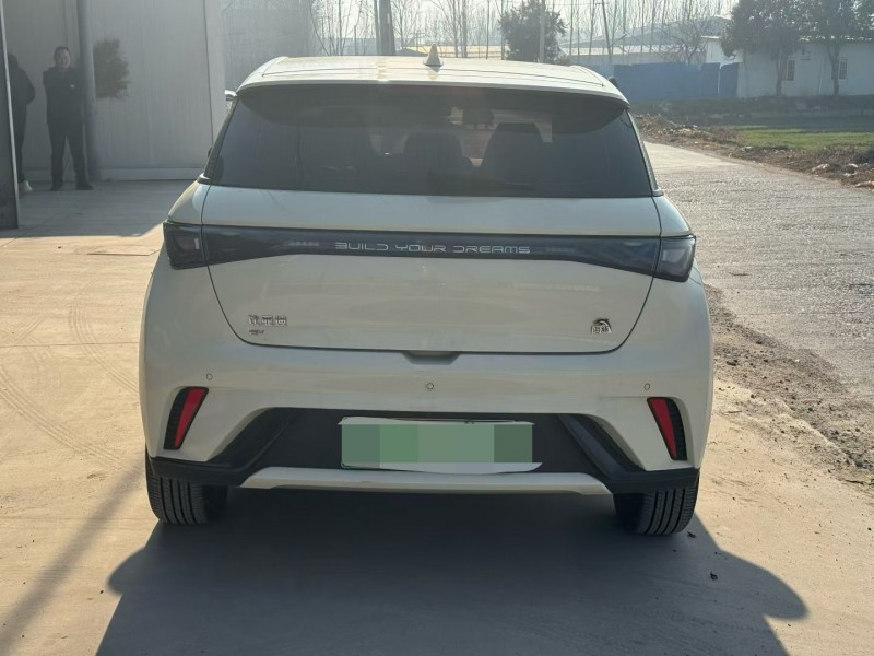 新乡23年比亚迪海豚9