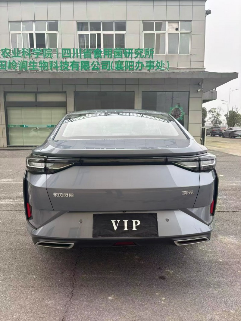 襄阳25年东风奕炫9