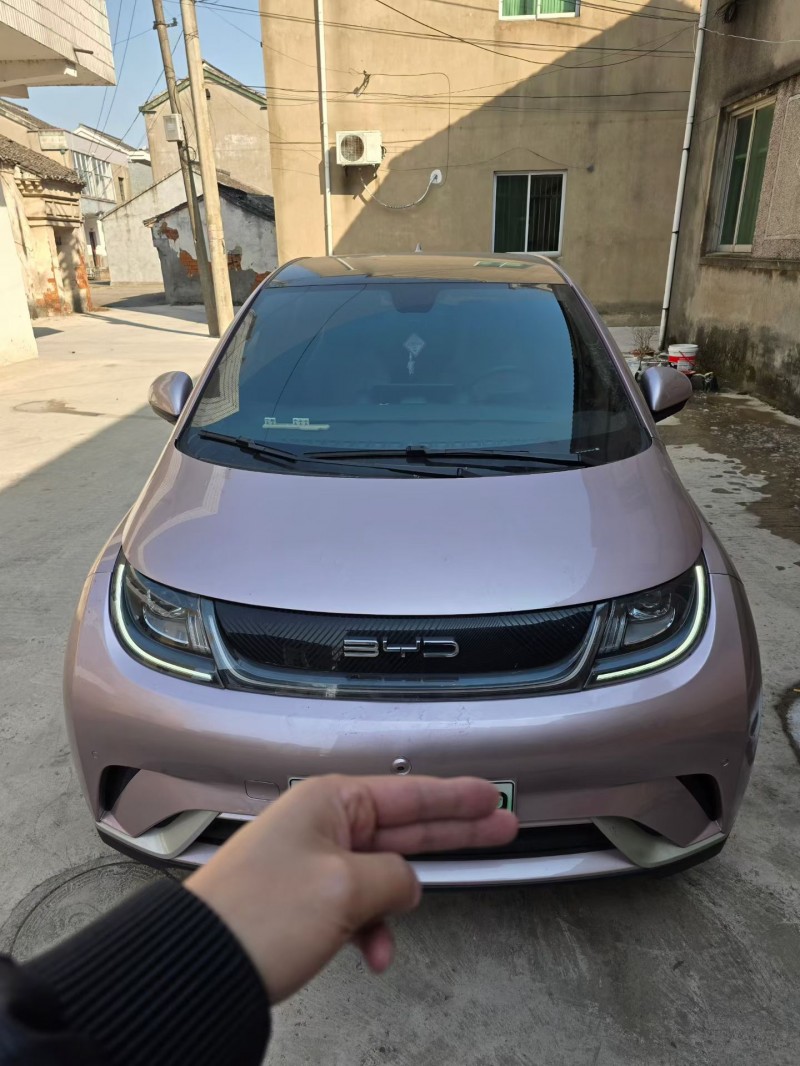 常州23年比亚迪海豚1