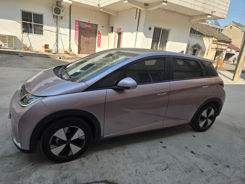 常州23年比亚迪海豚3