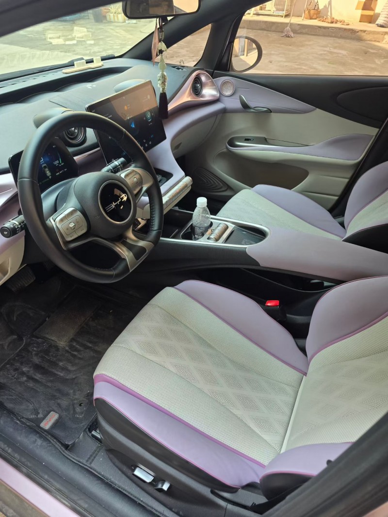 常州23年比亚迪海豚6