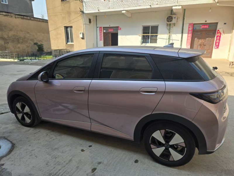 常州23年比亚迪海豚8