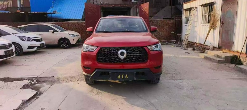 濮阳23年长城汽车炮 皮卡1