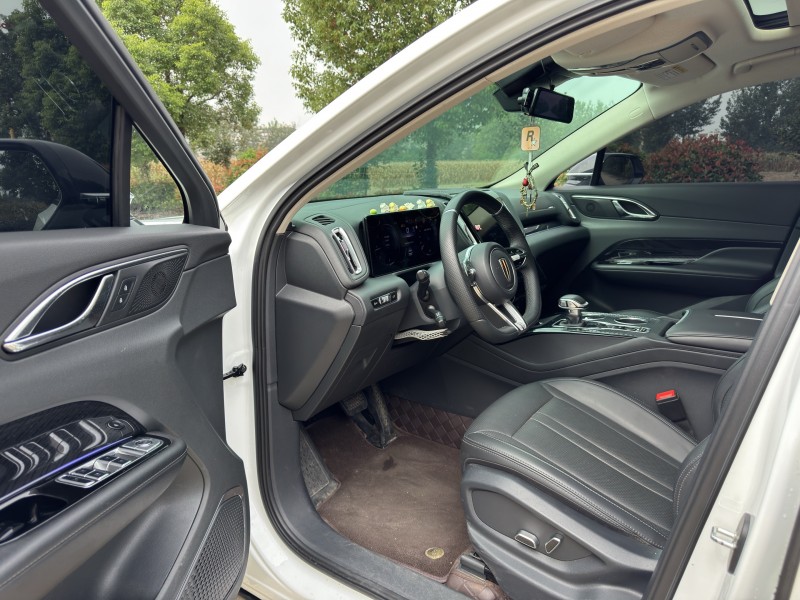 鹽城24年紅旗HS36