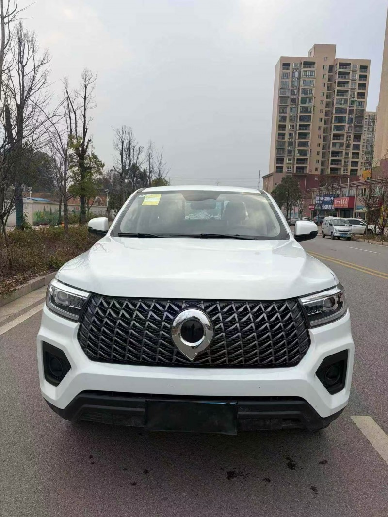 兰州25年长城汽车炮 皮卡1