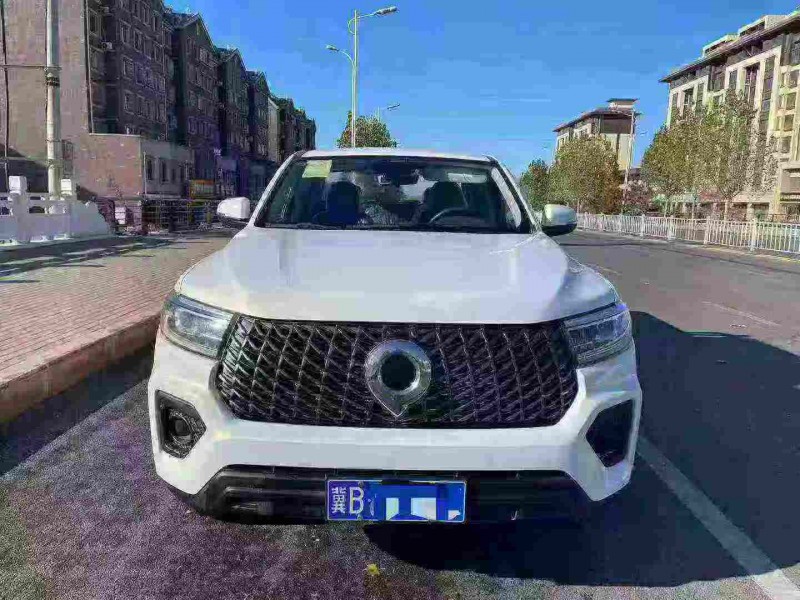 邢台25年长城汽车炮 皮卡1