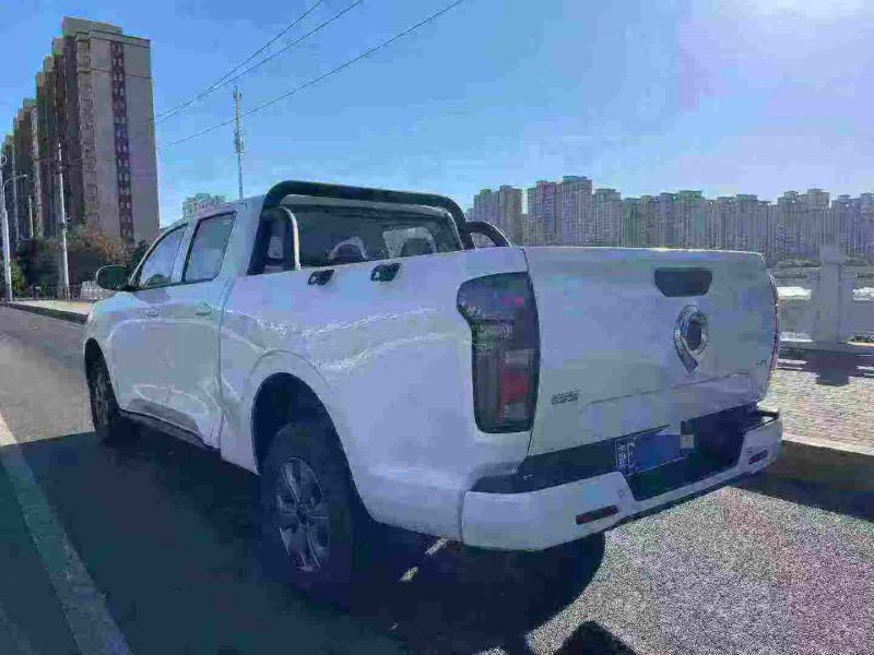 邢台25年长城汽车炮 皮卡2