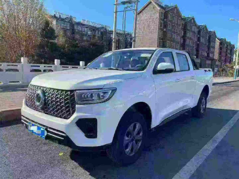 邢台25年长城汽车炮 皮卡3